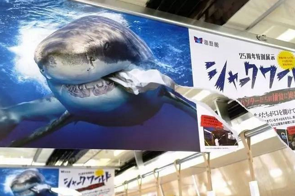 這是一張海報的正反面。人們很容易被這個破損的不尋常海報吸引注意力。
