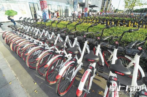 昨日下午，在開福區(qū)萬達(dá)廣場，成片的共享單車停放在廣場前坪。 長沙晚報(bào)記者 黃啟晴 攝