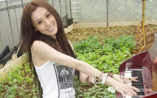 明星旅行糗事一籮筐 總有一個(gè)萌到你！