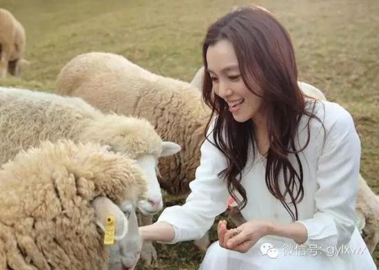 明星旅行糗事一籮筐 總有一個(gè)萌到你！