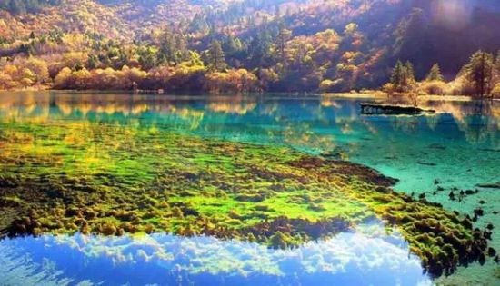 門(mén)票那么貴 沒(méi)法玩耍了！