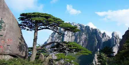 門(mén)票那么貴 沒(méi)法玩耍了！