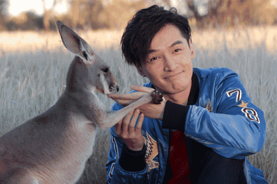 小袋鼠還有親到胡歌喲！