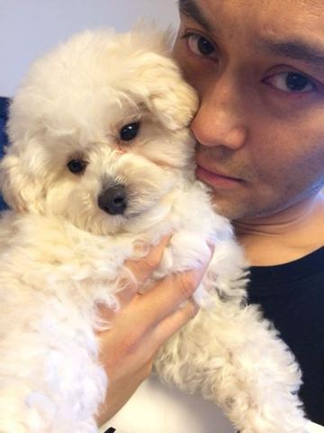 張智霖失言稱(chēng)要將愛(ài)犬人道毀滅