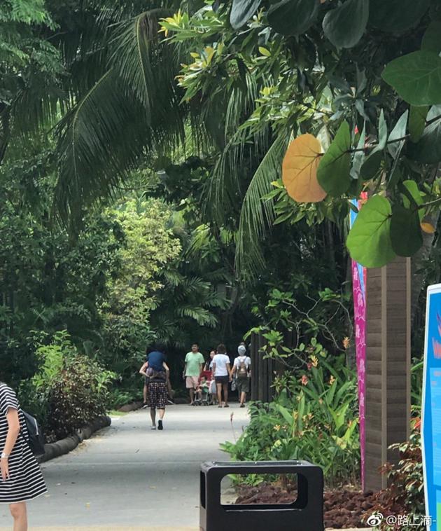 張柏芝背著不舒服的大兒子 張柏芝背著不舒服的大兒子