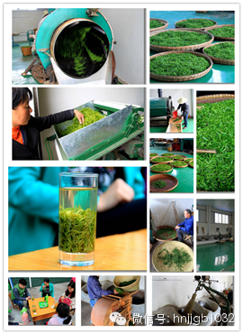 制茶的工藝真地道，仿佛聞到了茶香