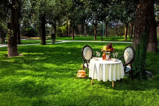 秋陽鴻園，芳草青青