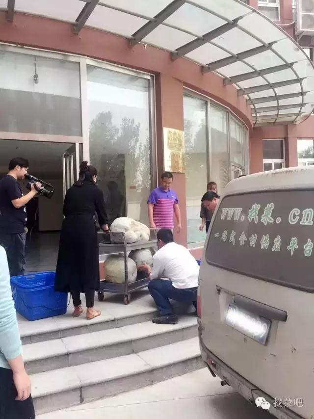 找菜網(wǎng)認(rèn)購百萬斤冬瓜，解農(nóng)戶燃眉之急