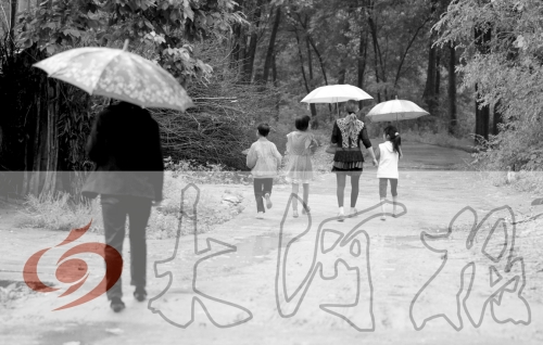 桐柏一村小學(xué)16名女生遭老師性侵 多為留守兒童 桐柏一村小學(xué)16名女生遭老師性侵 多為留守兒童