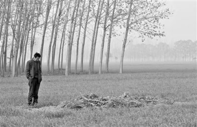 11月21日，高松中站在腦癱雙胞胎兒子墳前。