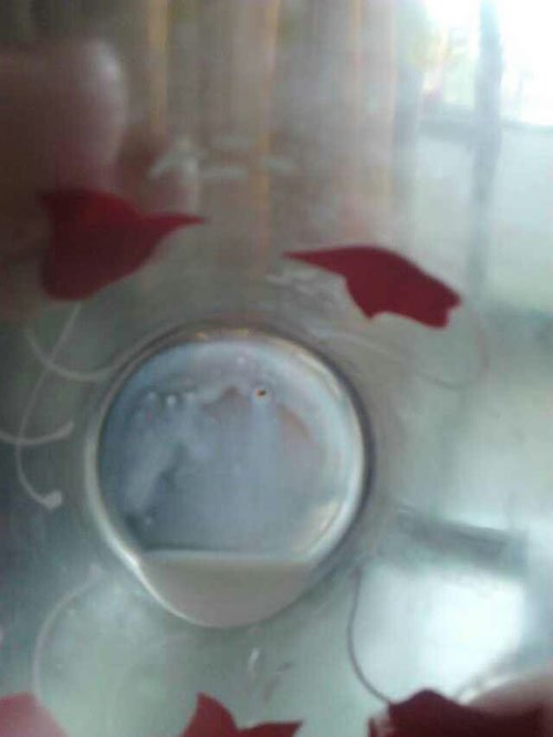 美贊臣奶粉接連吃出異物 客服回應(yīng)稱屬正常顆粒 美贊臣奶粉接連吃出異物 客服回應(yīng)稱屬正常顆粒