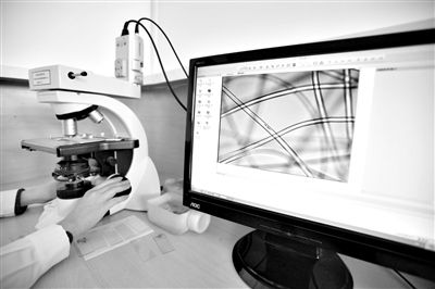 顯微鏡下，聚酯纖維很光亮，表面有斑點，粗細(xì)非常均勻。