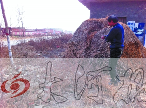 張哥、張弟就是在這兒撿到的投毒面包。