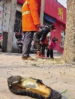 老漢右腿燒傷，樹下扔了一只燒焦的鞋