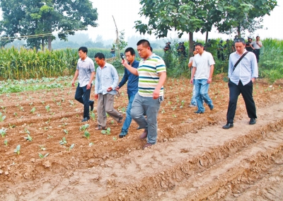 刑警帶嫌疑人司某(左二)在瓜地里指認(rèn)現(xiàn)場 刑警帶嫌疑人司某(左二)在瓜地里指認(rèn)現(xiàn)場