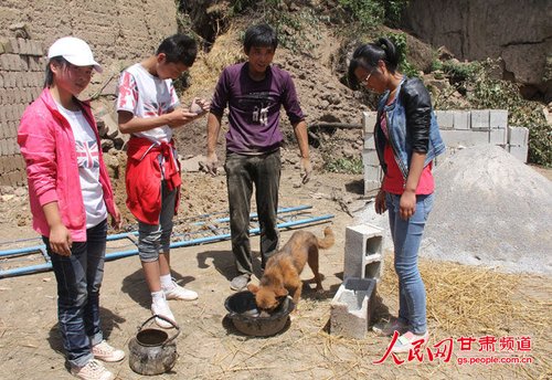 渴壞了的小黃狗在喝水。王生元/攝