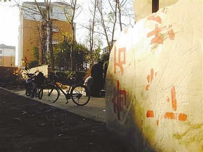 昨日，“上海奇石盆景博物館”原址上，已矗立起小區(qū)樓盤，而刻著博物館名的巨石，廢棄在一旁。本版圖片/新京報記者 張永生 攝