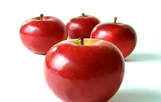 小心有毒！各種蔬果不能吃的部分