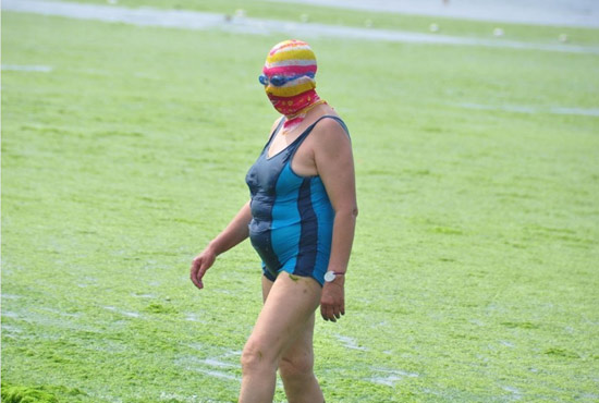 2013年7月3日，山東青島青島高溫來襲，“青島大媽”不懼滸苔，戴著“強盜面具”出現(xiàn)在海水浴場消暑降