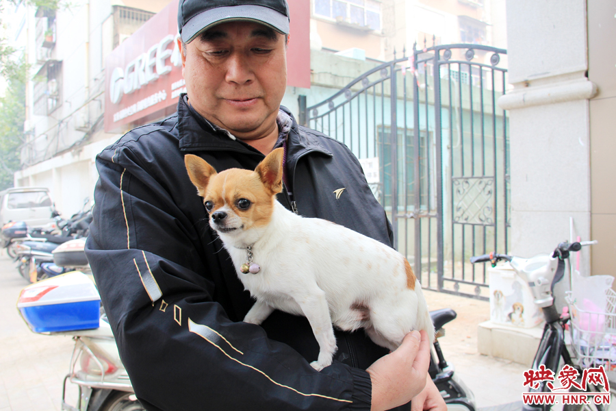 在市民眼里，小狗狗都是他們的小寶貝