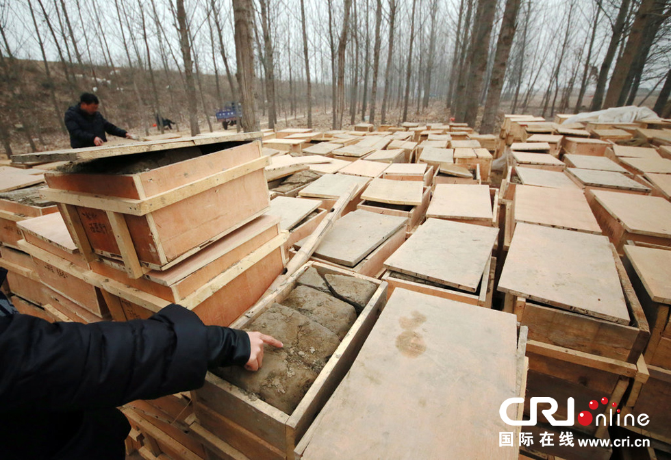2014年1月6日，河南洛陽(yáng)古沉船發(fā)掘現(xiàn)場(chǎng)，古船周圍和船上清理出來(lái)的青膏泥已被打包入箱。