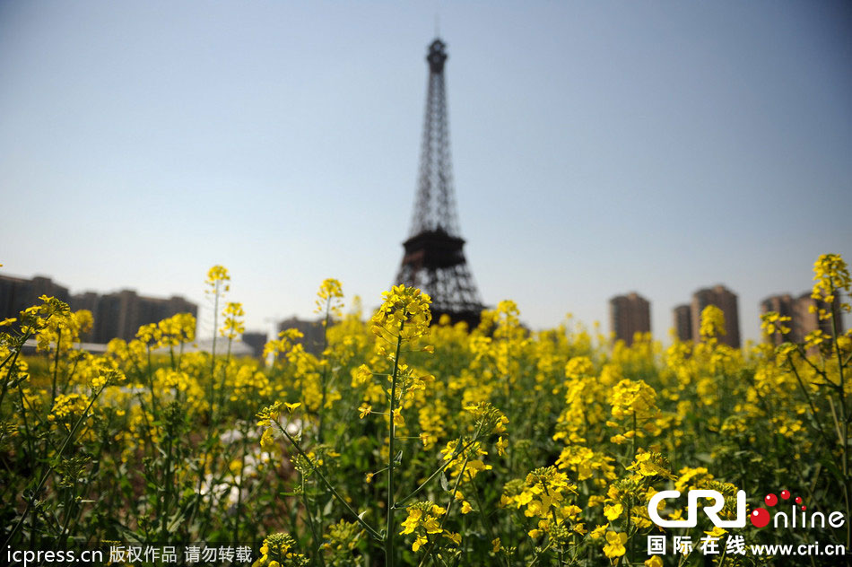 　2014年3月21日，杭州天都城，農(nóng)民在山寨埃菲爾鐵塔下耕作。圖片來(lái)源：東方IC