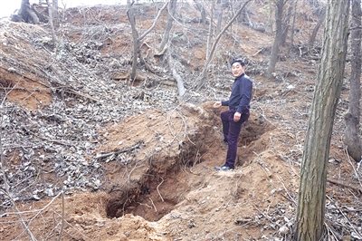 巨型葛根被刨出現(xiàn)場(chǎng) 巨型葛根被刨出現(xiàn)場(chǎng)