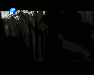 數(shù)以噸計的假名酒流向市場 記者臥底揭利益黑幕