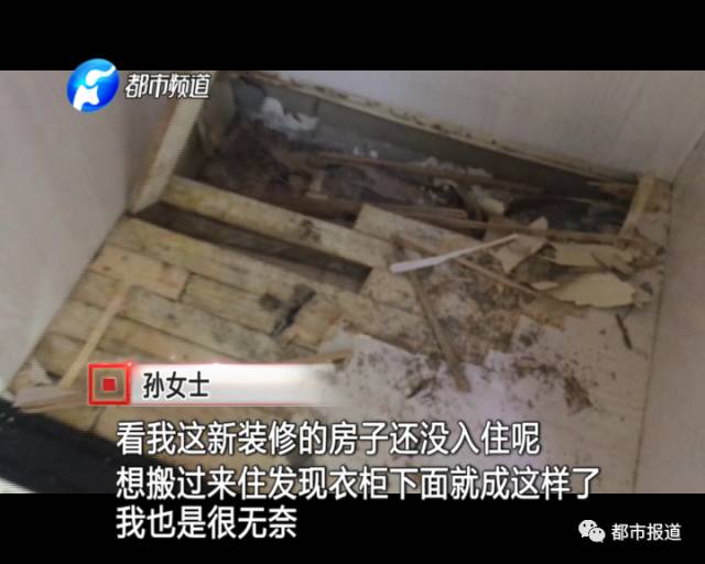 蟻族大軍入侵！十幾萬裝修的新家被“吃掉”