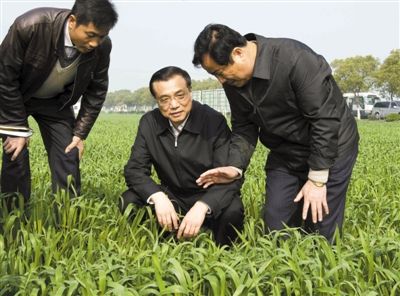 3月28日,李克強(qiáng)在江蘇省常熟市田娘家庭農(nóng)場(chǎng)察看麥苗長(zhǎng)勢(shì)。
