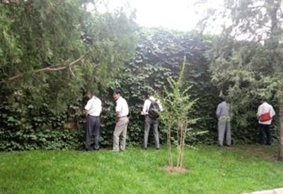 6月30日，頤和園內(nèi)綠地上，多名游客在小解。 網(wǎng)友“攝影老鬼” 攝