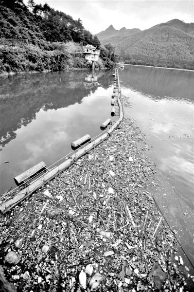 7月7日，廣西賀州市賀江合面獅段被污染的水域。據(jù)新華社