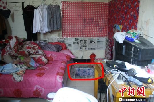 圖上紅圈內(nèi)為嫌犯所挖地窖入口。 吳佳蔚 攝