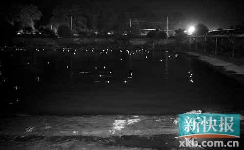 昨日，西湖村鱷魚養(yǎng)殖場已修復(fù)圍欄。