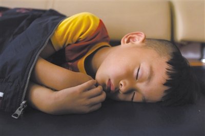 9月6日，等待錄制節(jié)目的多多躺在沙發(fā)上熟睡。新京報(bào)記者 侯少卿 攝