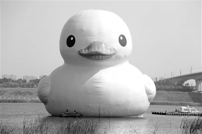 昨日，經(jīng)過連夜修正，大黃鴨的嘴部已恢復(fù)變寬，和在香港展出時(shí)看起來一樣。