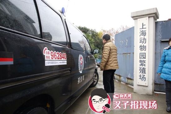 殯葬車到達現(xiàn)場。新民網 記者 蕭君瑋 攝