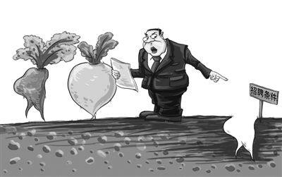 蘿卜招聘 蘿卜招聘