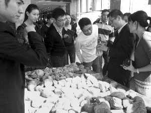 前段時間，夫子廟古玩城舉行的一場賭石活動，吸引了不少人參與