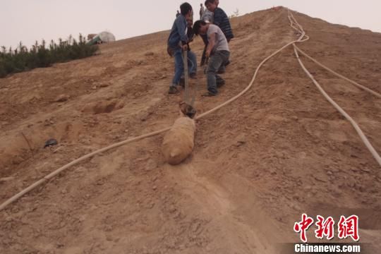 　4月27日上午，當(dāng)?shù)卮迕裨诠系販洗逡痪G化處挖出一枚長1米，重200斤的炸彈，5月10日，這枚炸彈已
