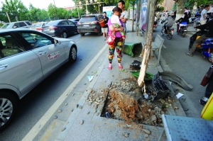 幸虧轎車撞到香樟樹上停了下來,否則后果更嚴重。