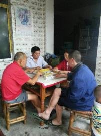 掃水掃不及，胥家鎮(zhèn)柏河村的居民干脆打起了麻將。