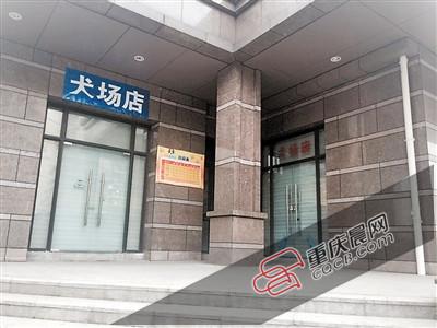 寵物店關(guān)門 我家生病的狗狗去哪兒了 寵物店關(guān)門 我家生病的狗狗去哪兒了