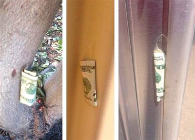 “隱藏的鈔票”會被神秘人藏在公園、廁所等“奇怪的地方”。