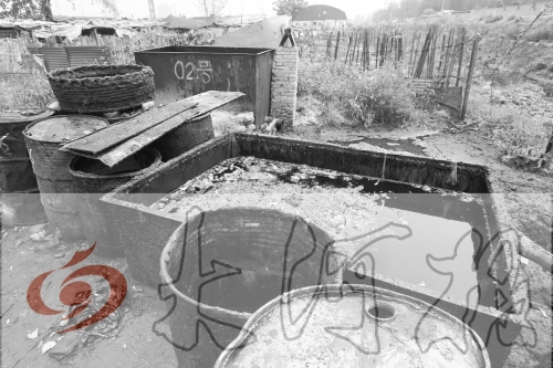 　　骯臟、令人作嘔的油桶凌亂地?cái)[放在院子里，為了避免視覺刺激，我們把它做成了黑白圖片。