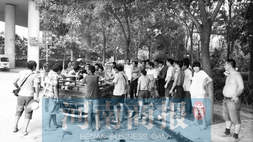 北環(huán)南陽(yáng)路立交橋下，瓜農(nóng)小秦被打后，附近瓜農(nóng)紛紛圍了上來(lái)