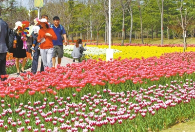 鄭州28日部分區(qū)域有陣雨 未來兩天氣溫進(jìn)一步下降 鄭州28日部分區(qū)域有陣雨 未來兩天氣溫進(jìn)一步下降