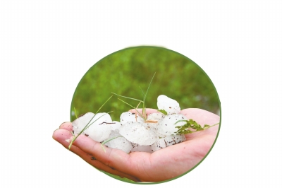 冰雹化了一些,還有這么大。