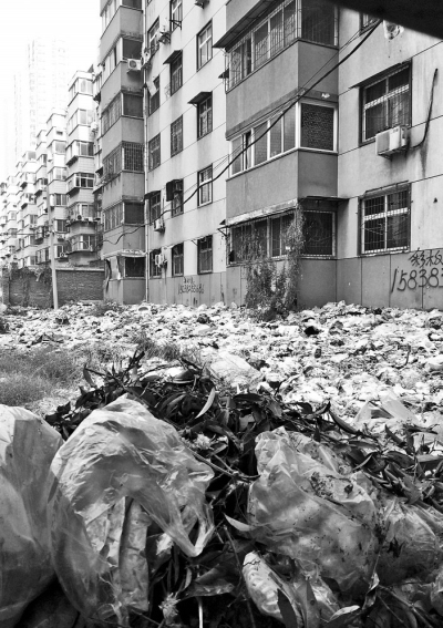 透過擋板縫向內(nèi)看，30多米垃圾已經(jīng)將居民樓包圍。