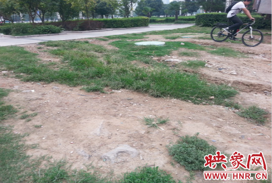 公園內(nèi)大片草坪遭到破壞。